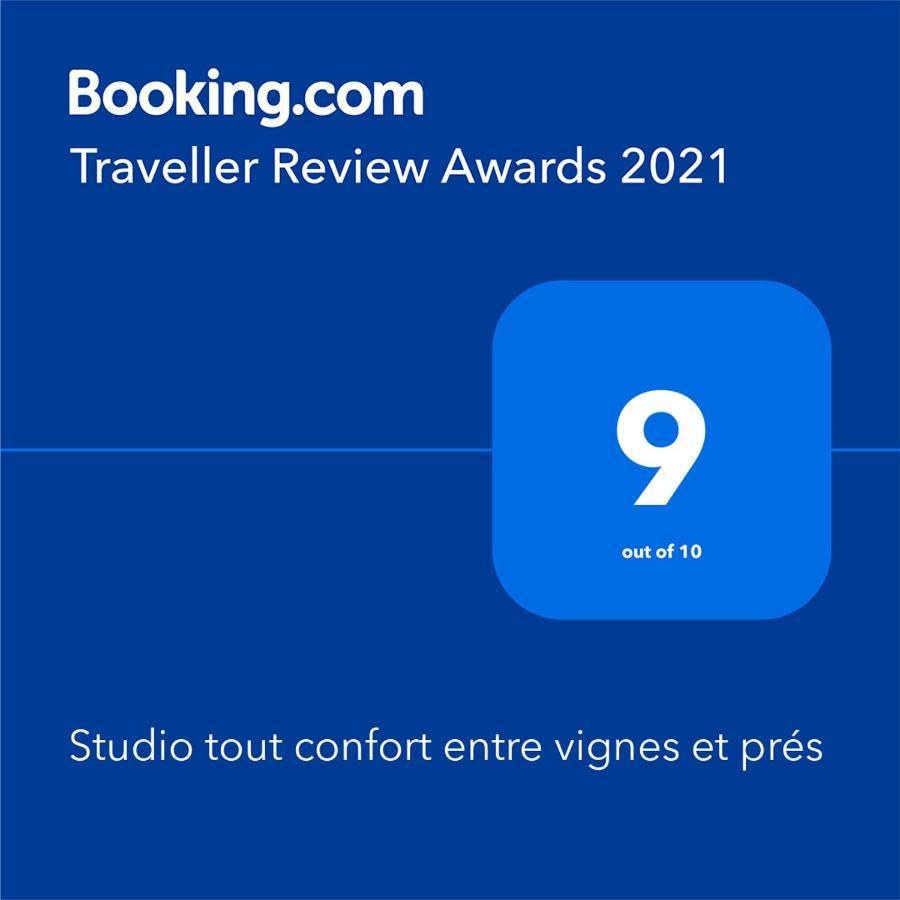 L'Idyllique - Studio Prive Sous Maison Saint-Didier-sur-Beaujeu Экстерьер фото